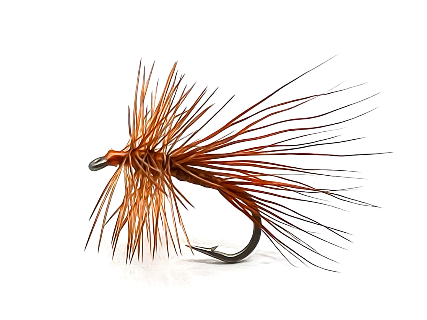 Size 14 Burnt Orange North Branch Caddis Dry Flies