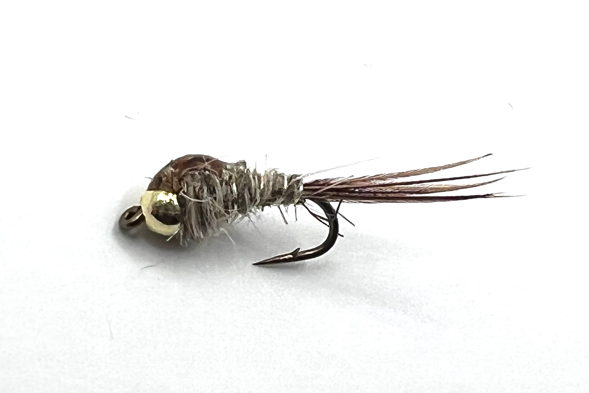 Gold Ribbed Hares Ear