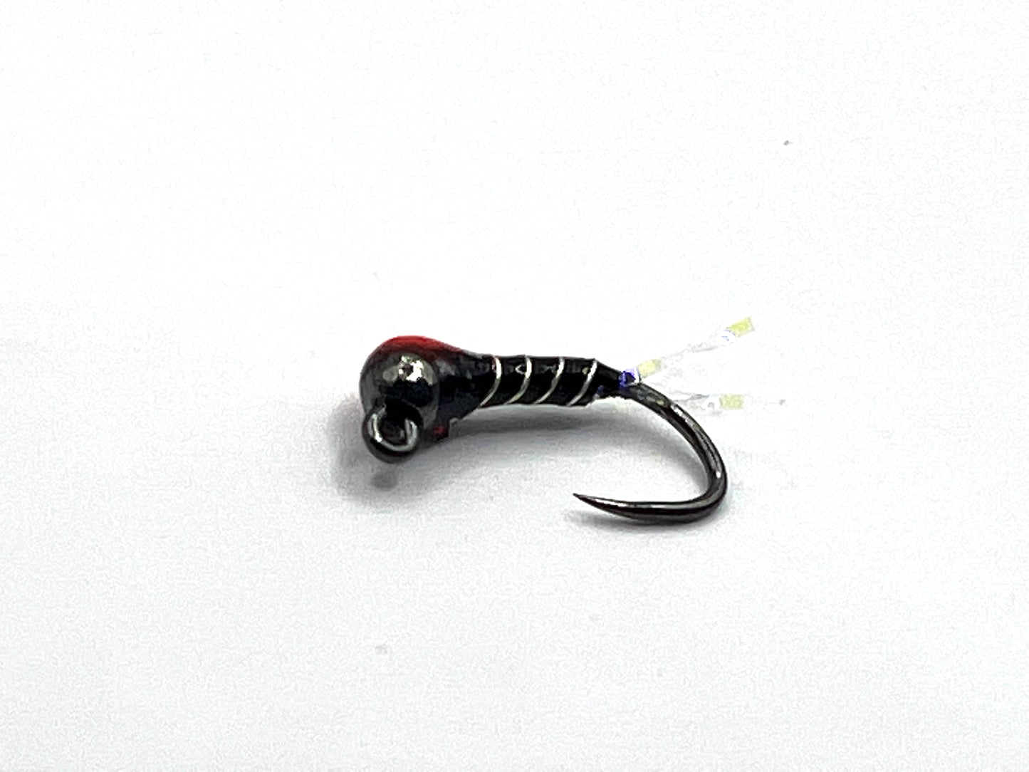 Zebra Midge