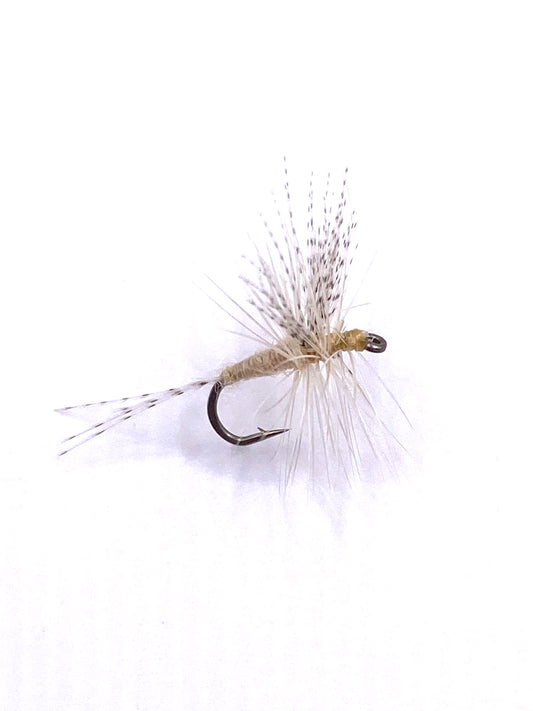Light Cahill Dry Fly