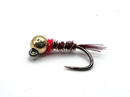 Gold bead Frenchie