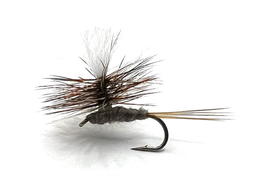 Size 14 Parachute Adams dry fly in gray, with parachute wing and barbed hook