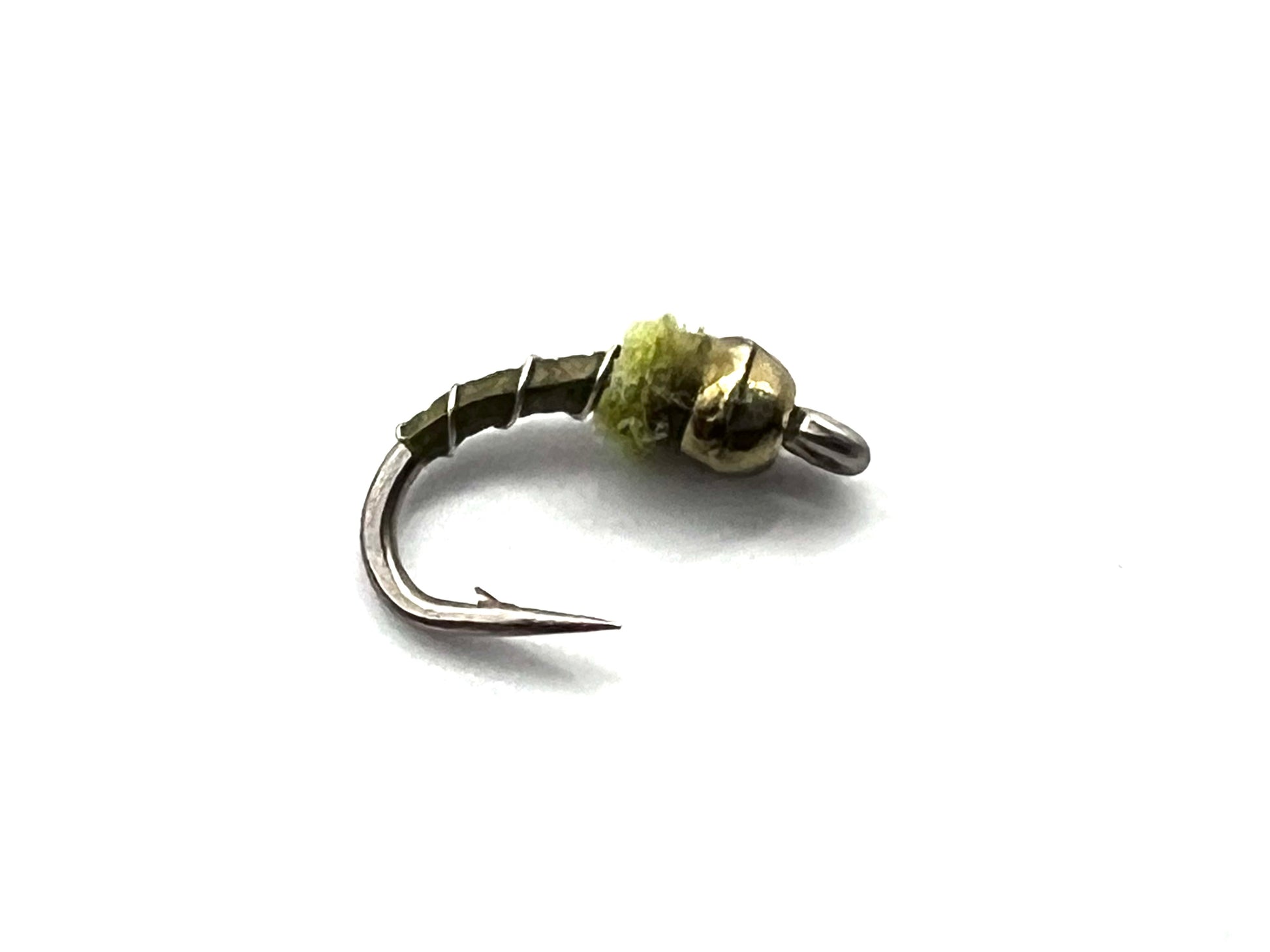 Olive midge