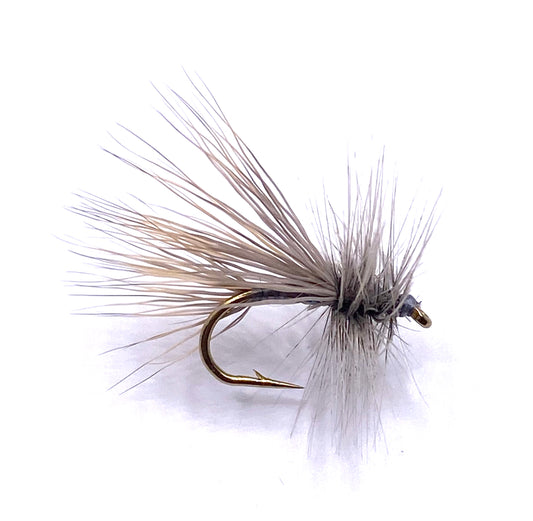 Gray Caddis