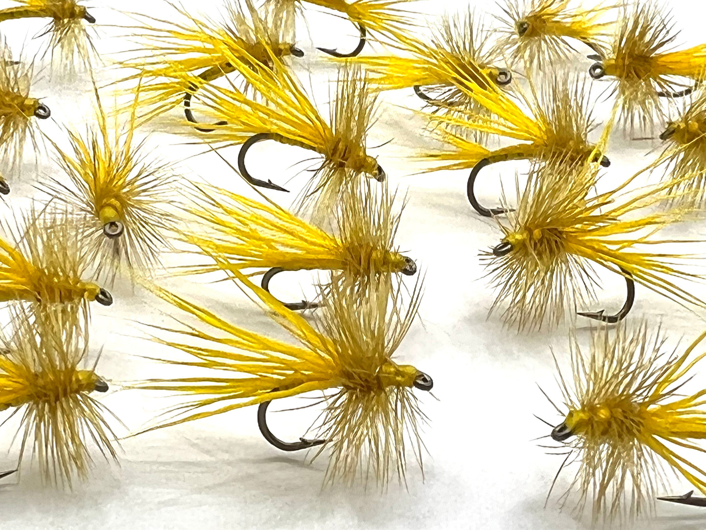Yellow North Branch Caddis