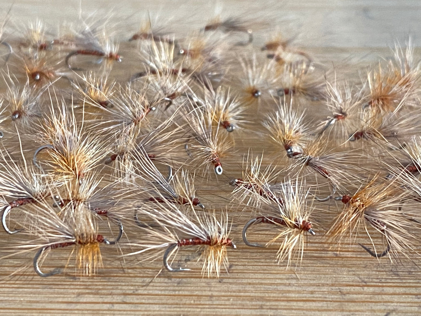 Tan Caddis