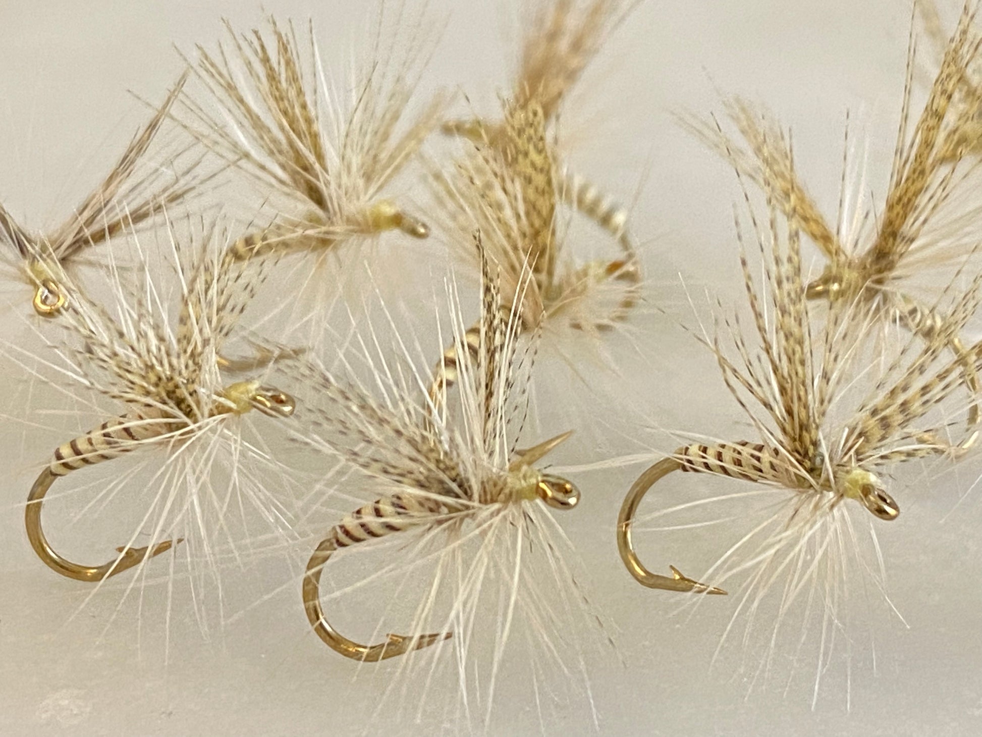 Quill Light Cahill Dry Flies