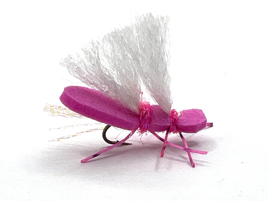 Pink Chubby Chernobyl