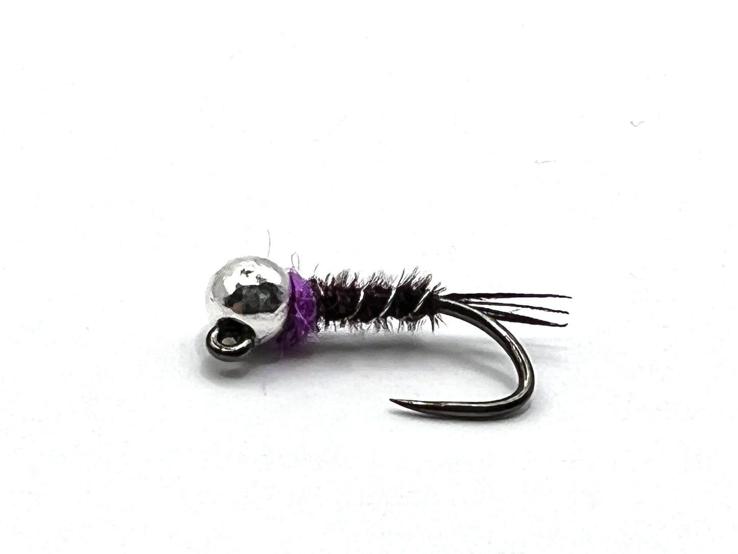 Purple Frenchie
