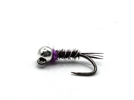 Purple Frenchie