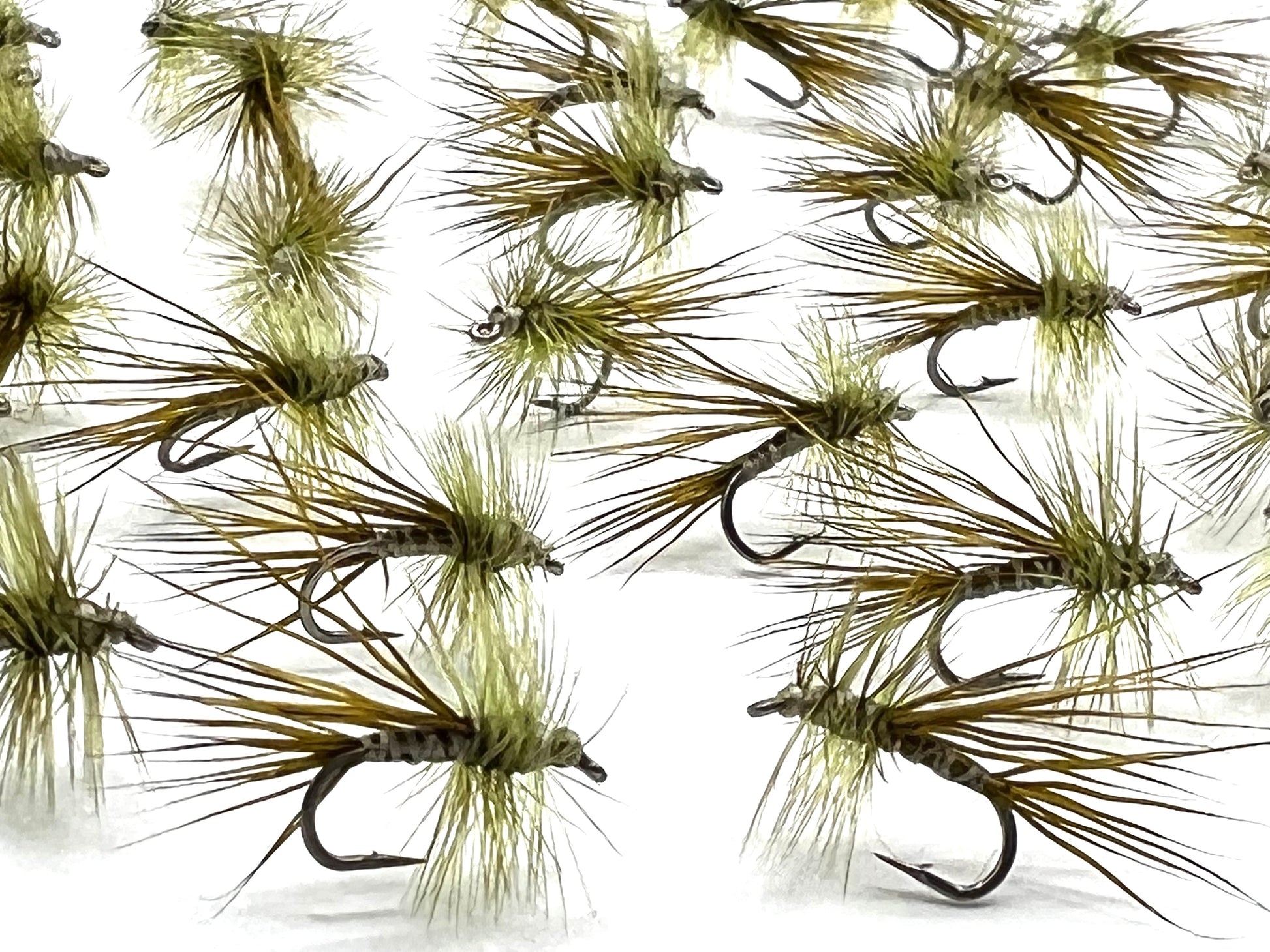 Olive North Branch Caddis