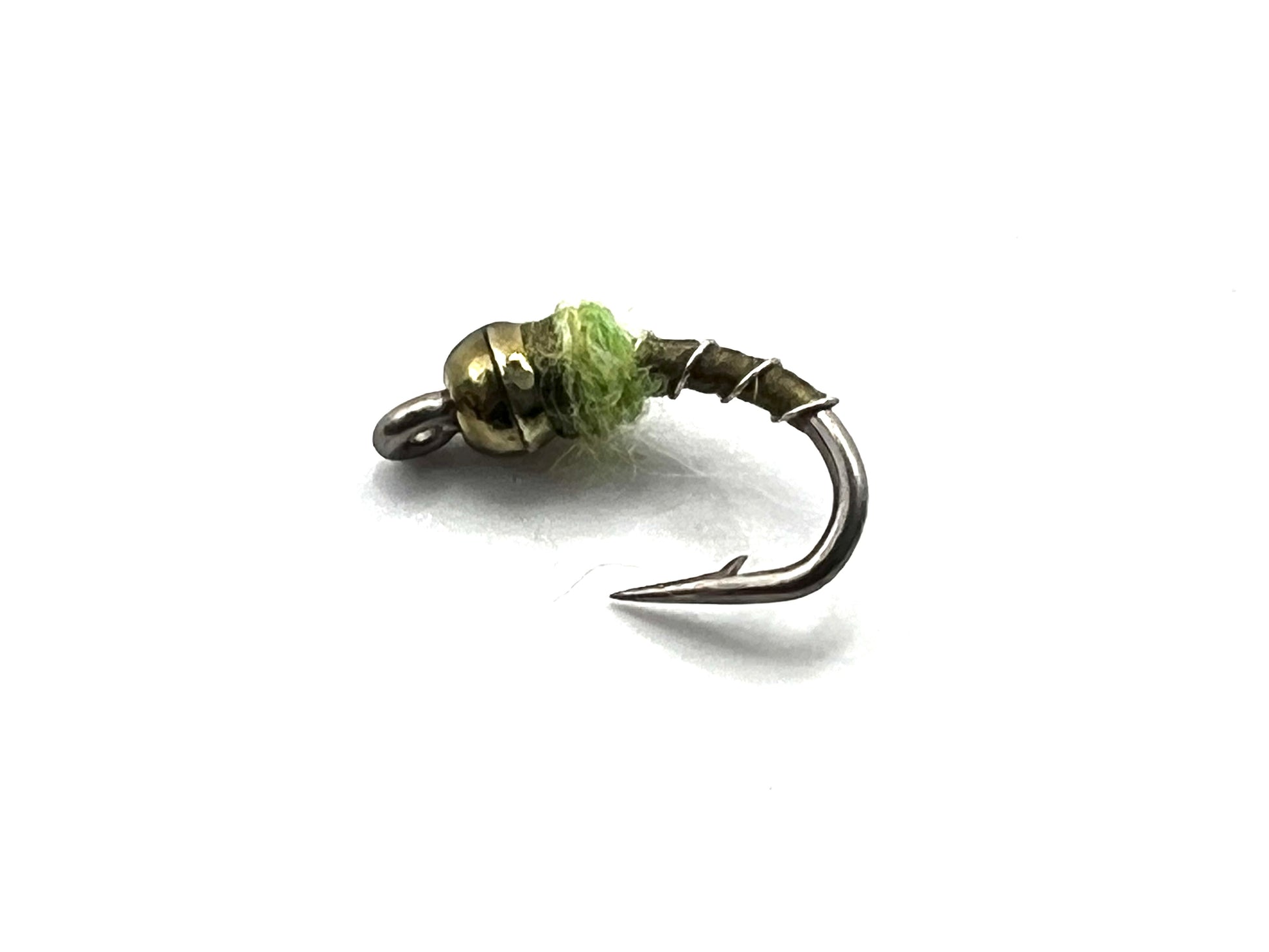 Olive midge