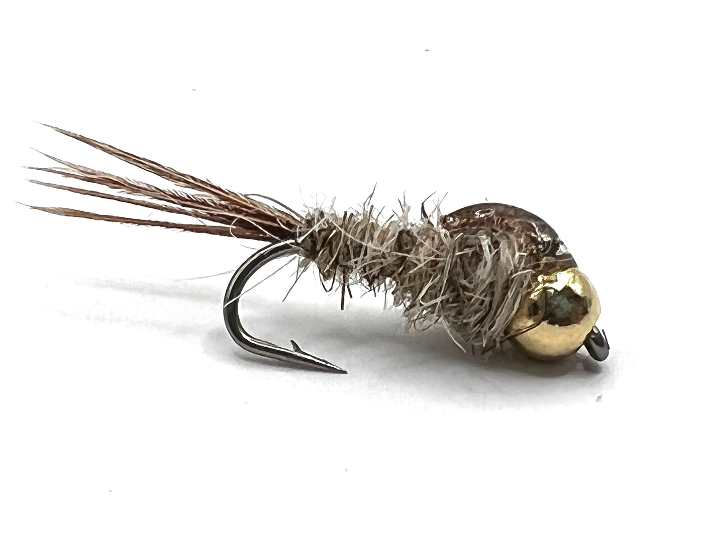 Gold Ribbed Hares Ear