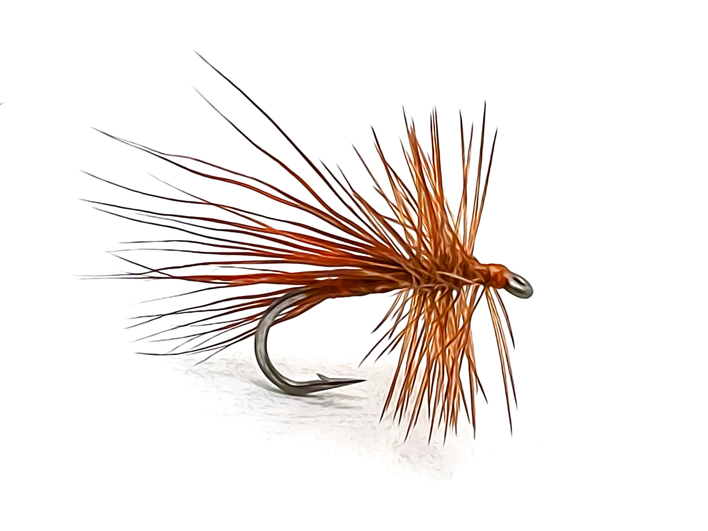 Size 14 Burnt Orange North Branch Caddis Dry Flies