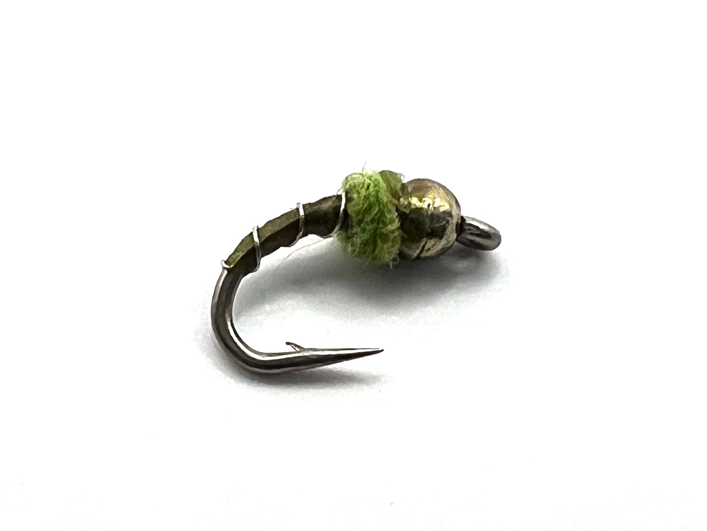 Olive midge