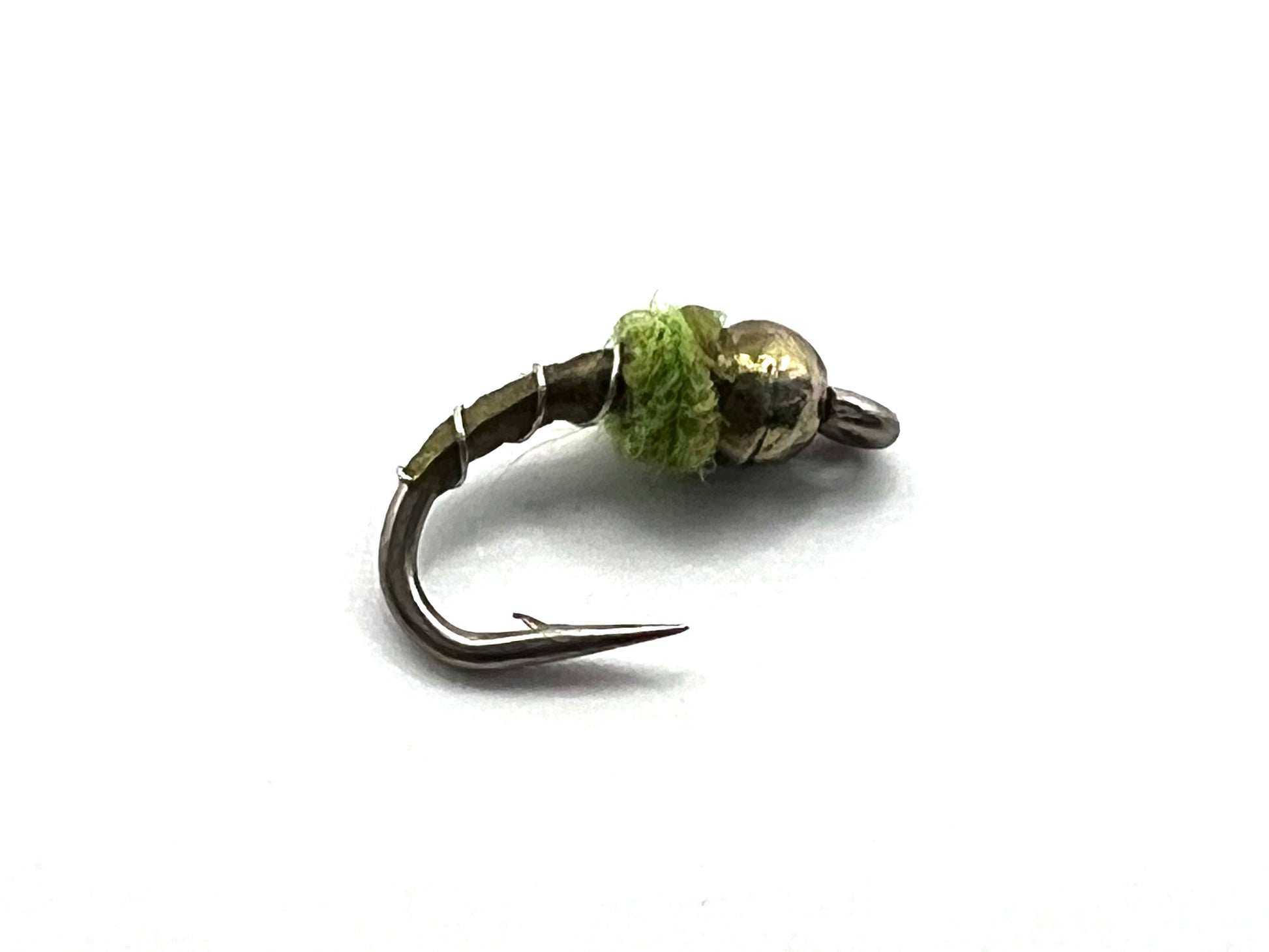 Olive midge