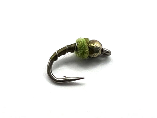 Olive midge