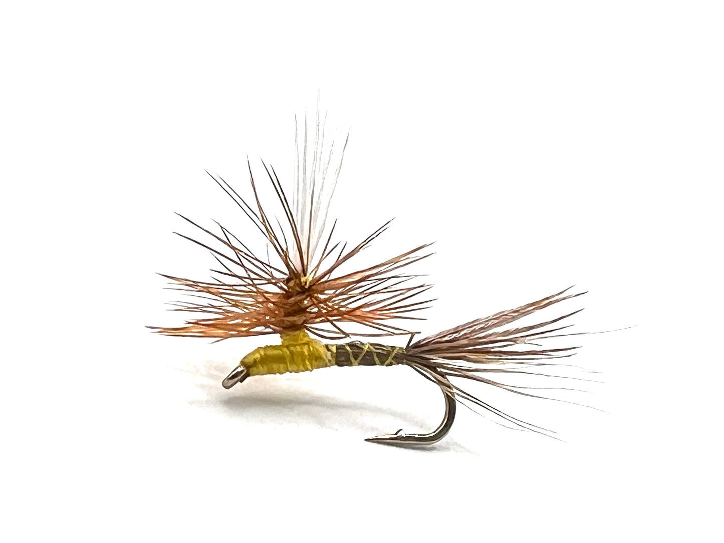 Roberts Yellow Drake