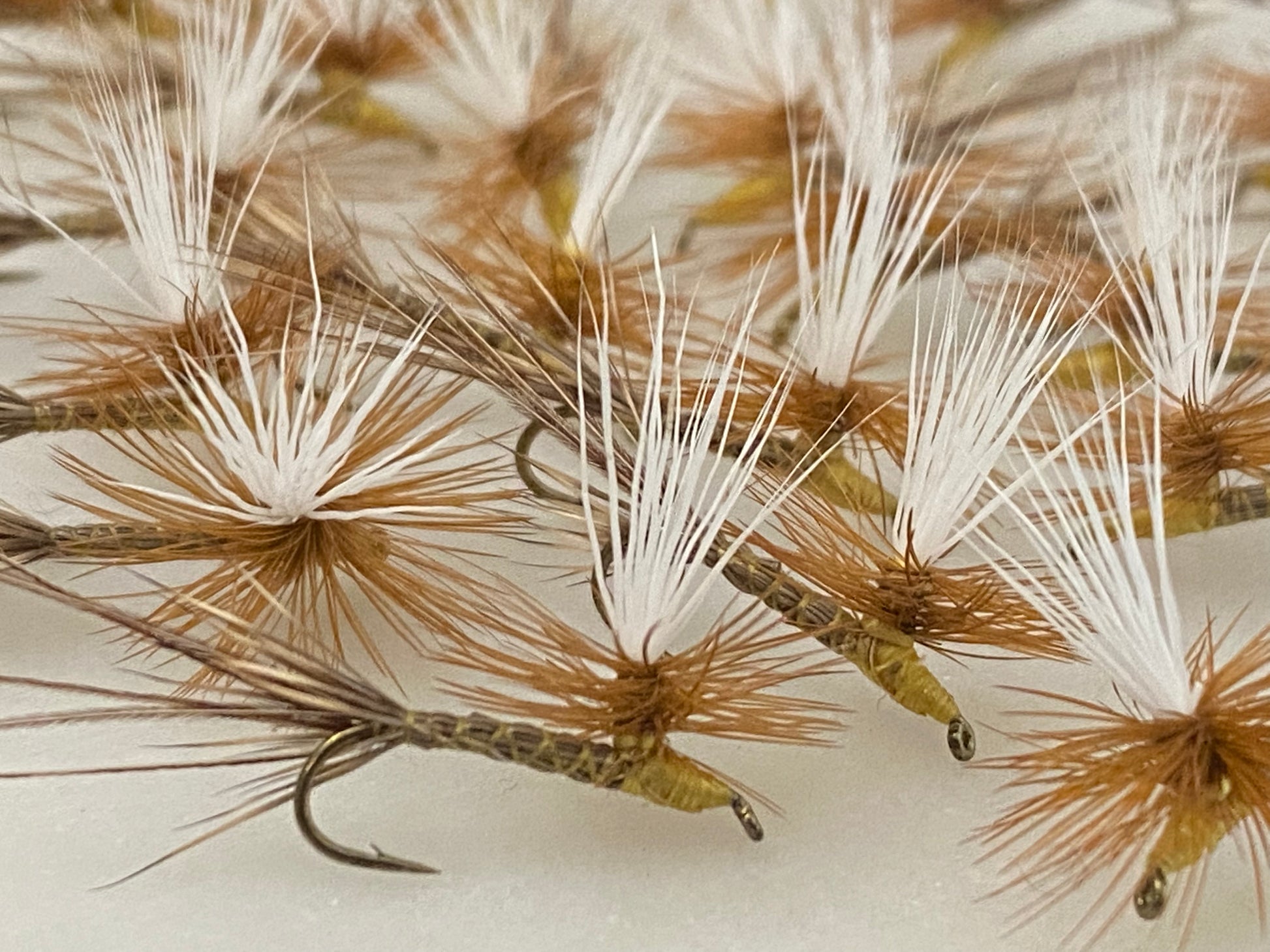 Roberts Yellow Drakes