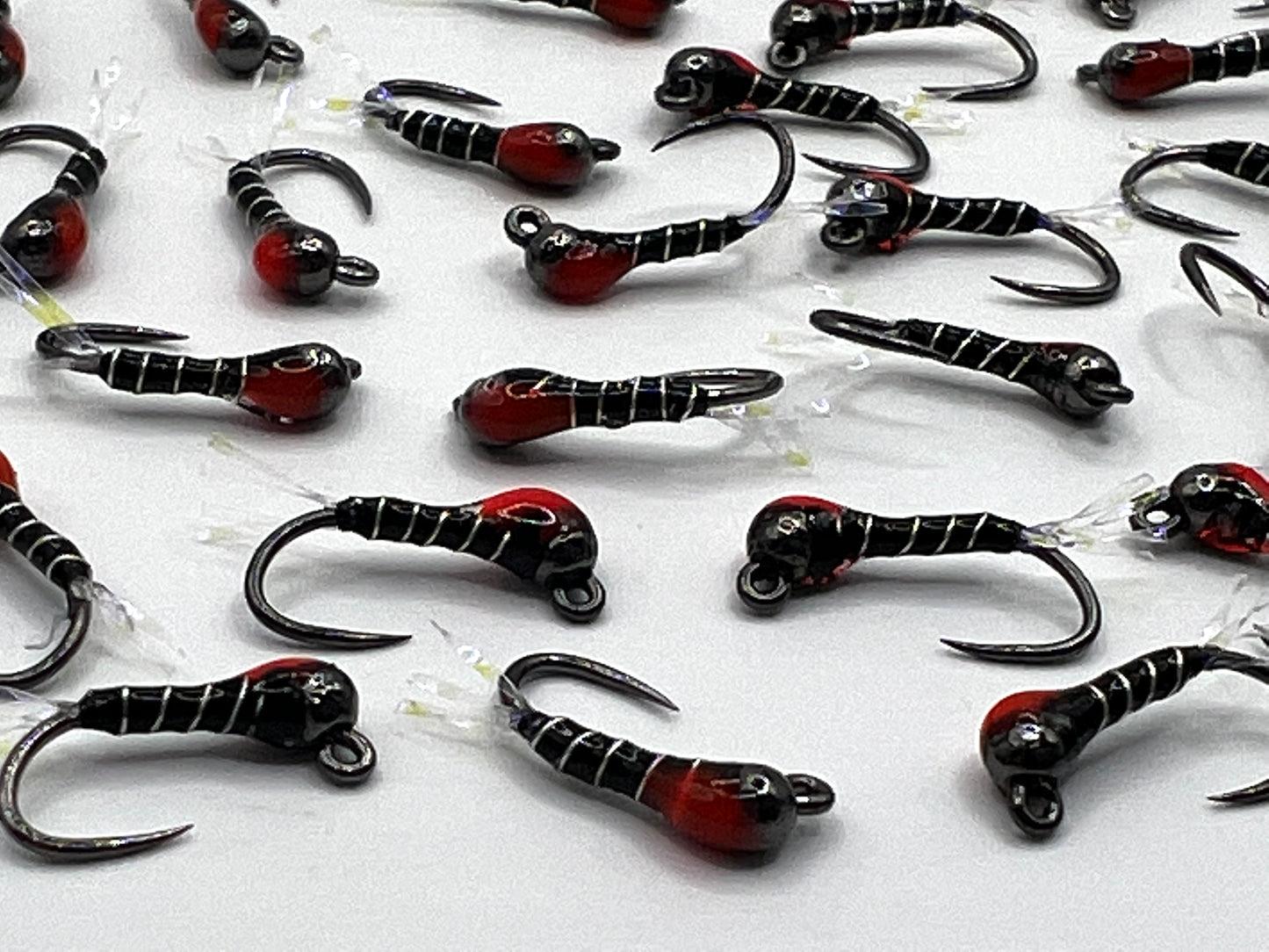 Zebra Midge