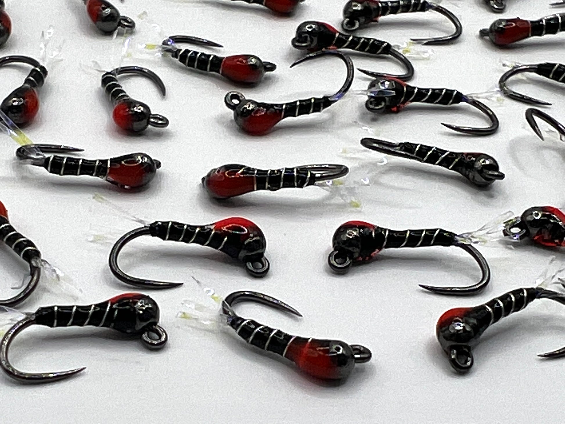 Zebra Midge