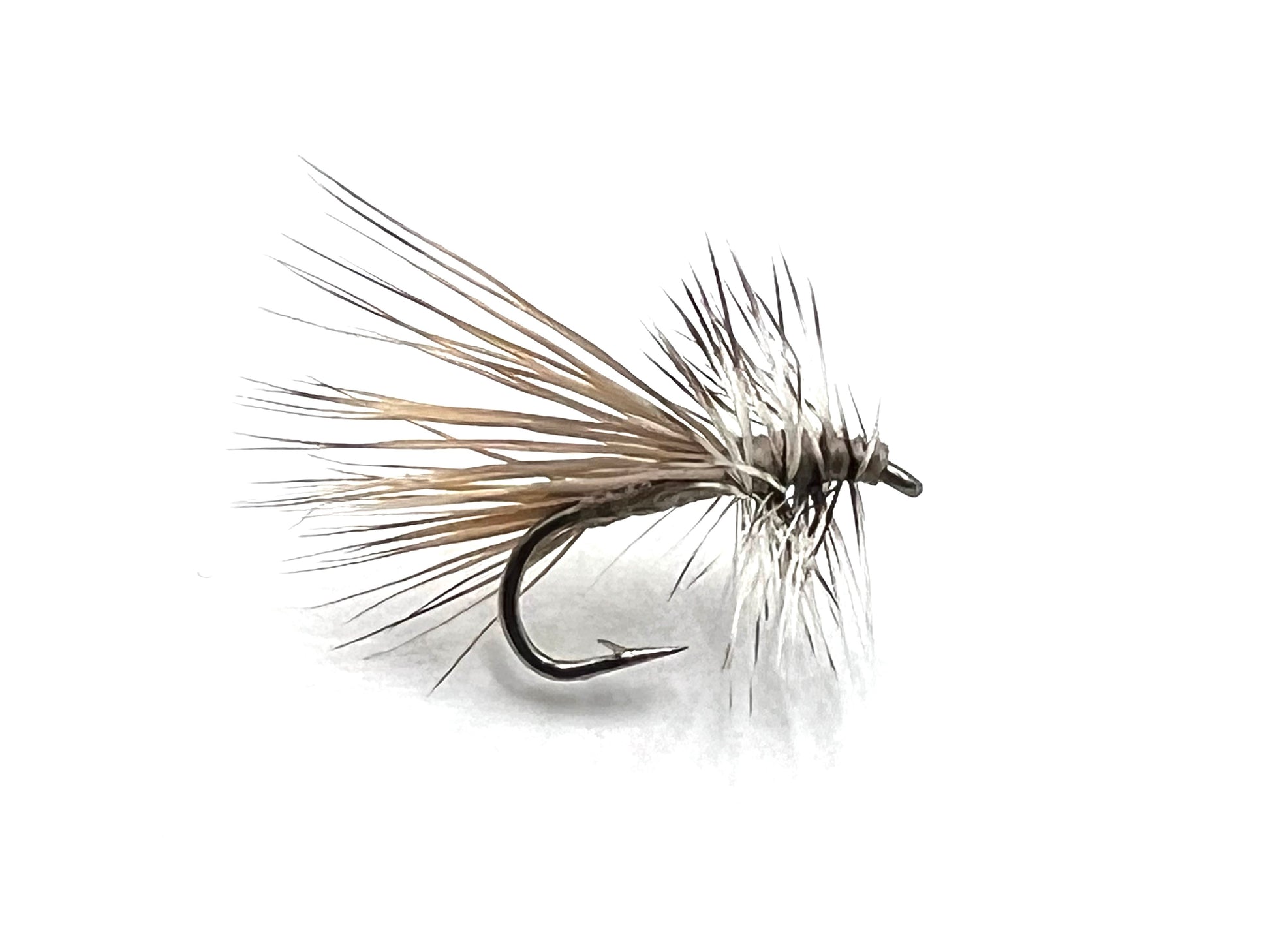 Gray Caddis