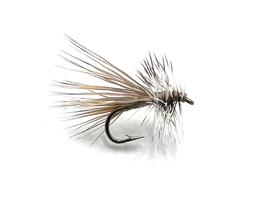 Gray Caddis