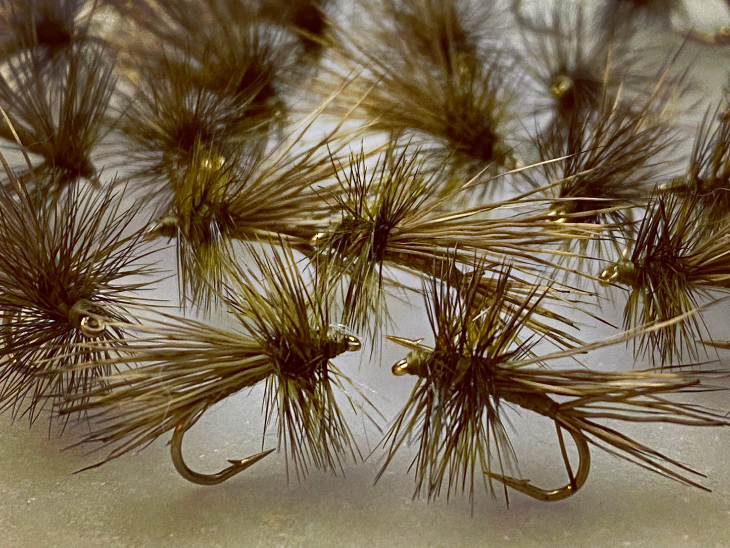 Olive Caddis