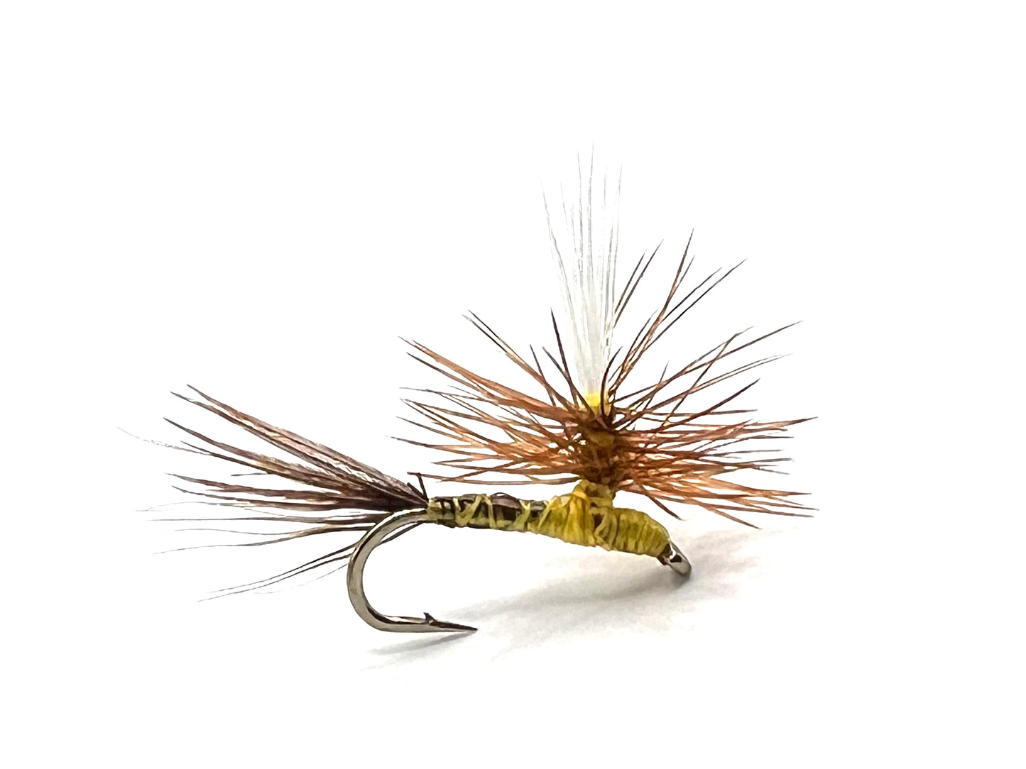 Roberts Yellow Drake