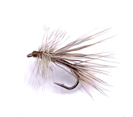 Tan Caddis