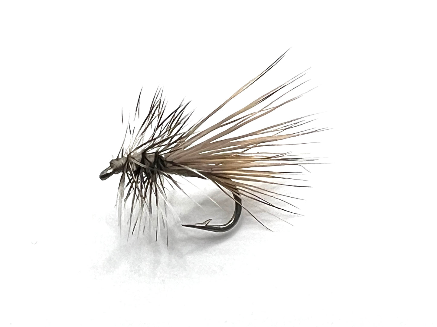 Gray Caddis
