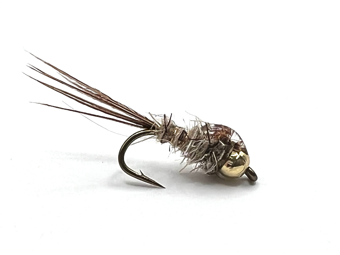 Gold Ribbed Hares Ear