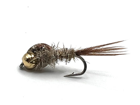 Gold Ribbed Hares Ear