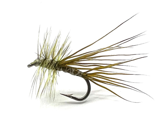 Olive North Branch Caddis