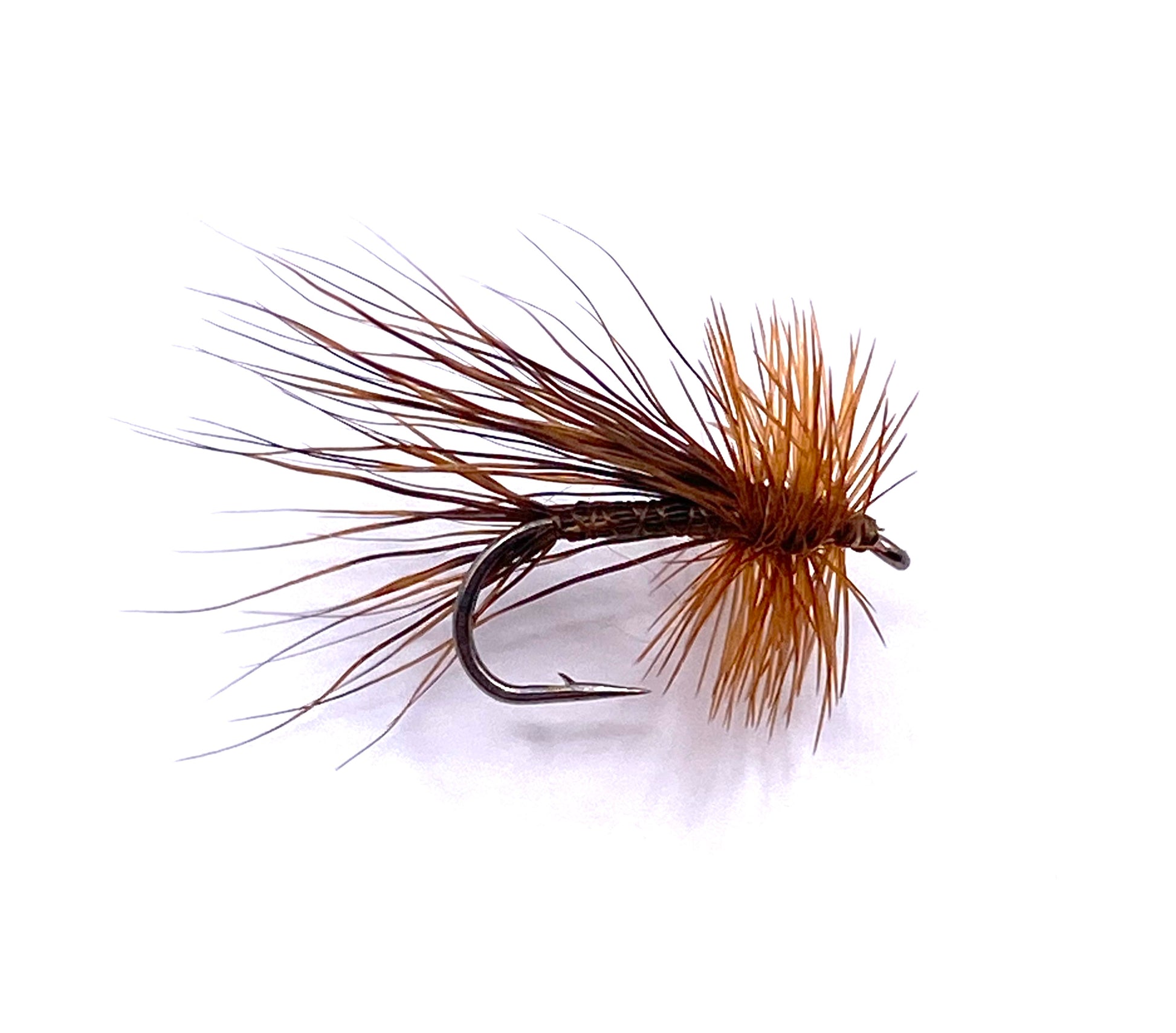 Brown Caddis