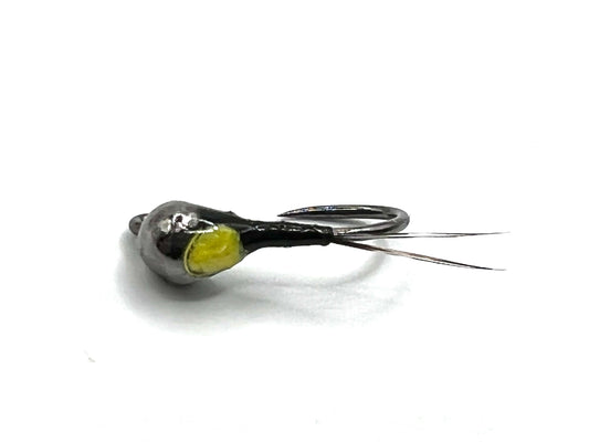 PMD Nymph