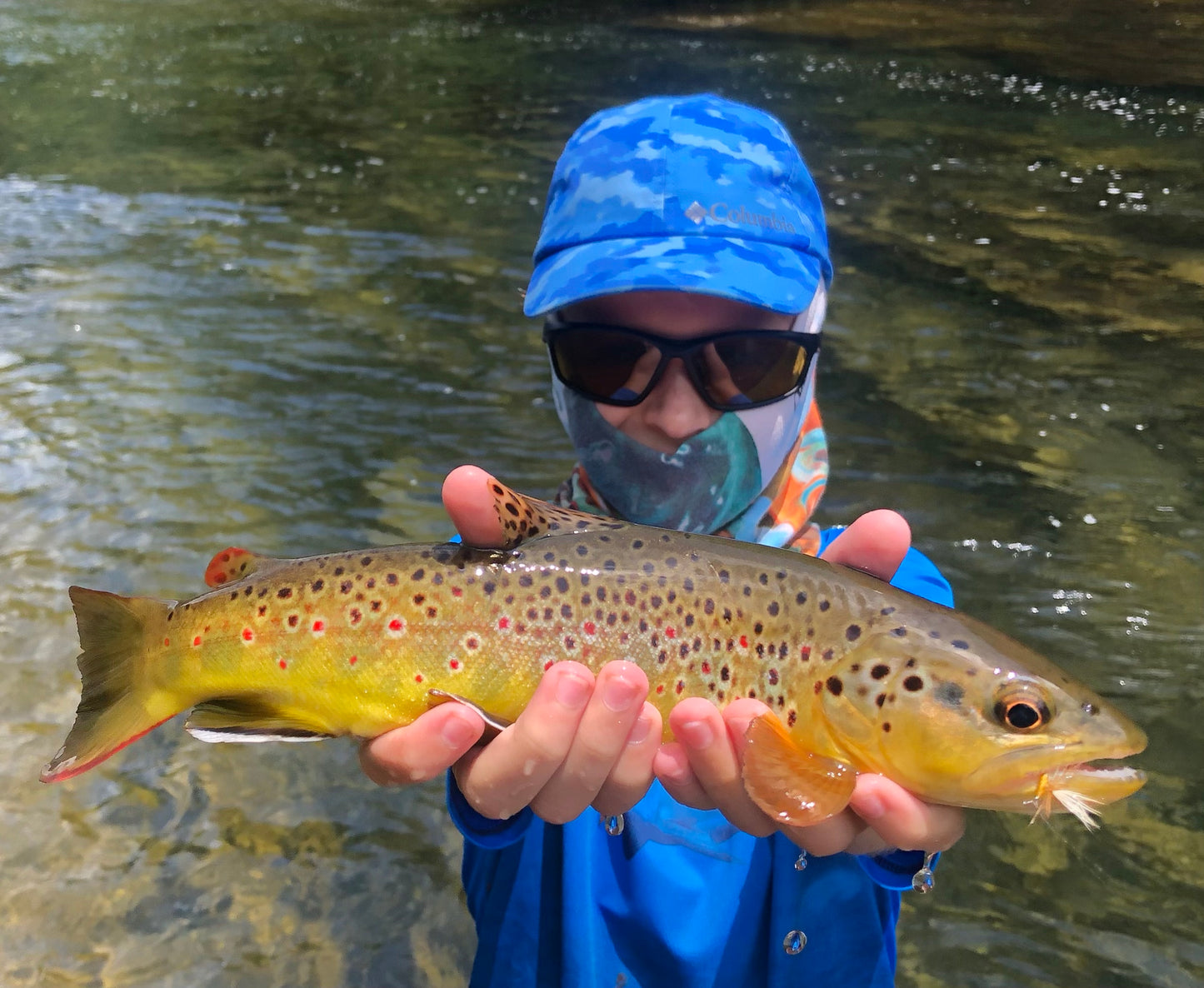 Brown Trout caught with a Roberts Yellow Drake