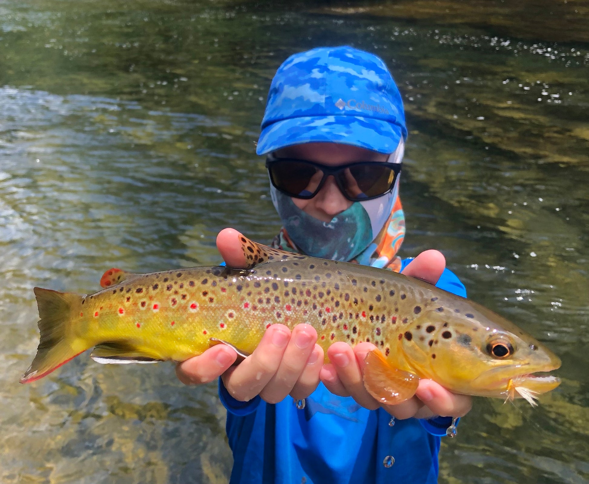 Brown Trout caught with a Roberts Yellow Drake