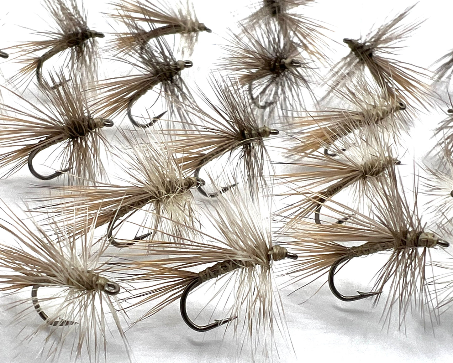 Tan Caddis
