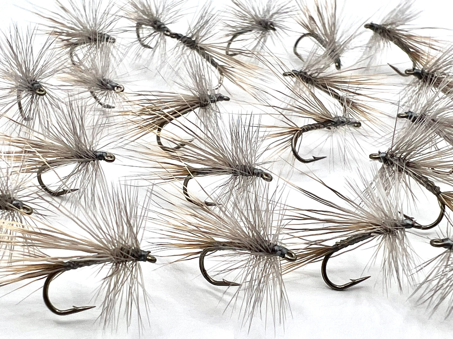 Gray Caddis