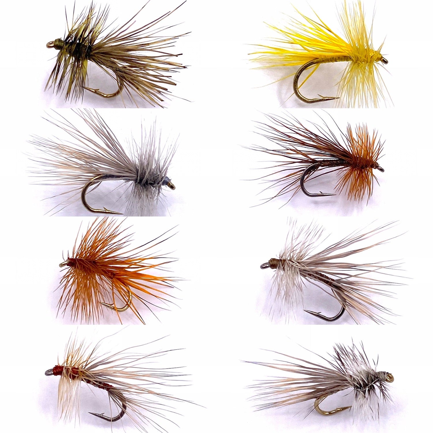 North Branch Caddis