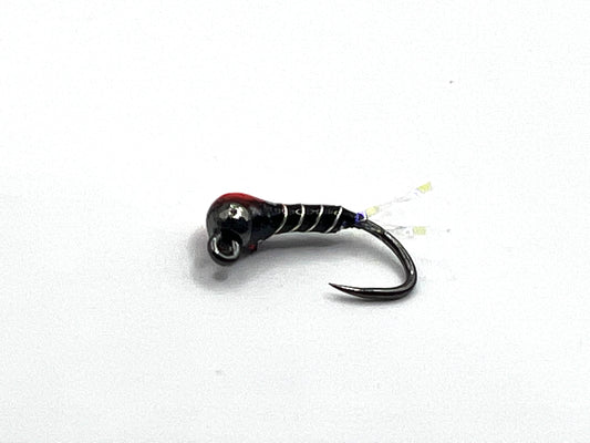Zebra Midge