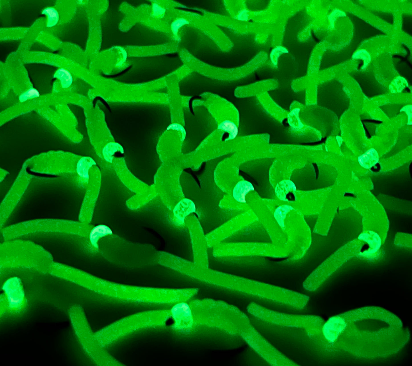 Glow in the dark squirmies