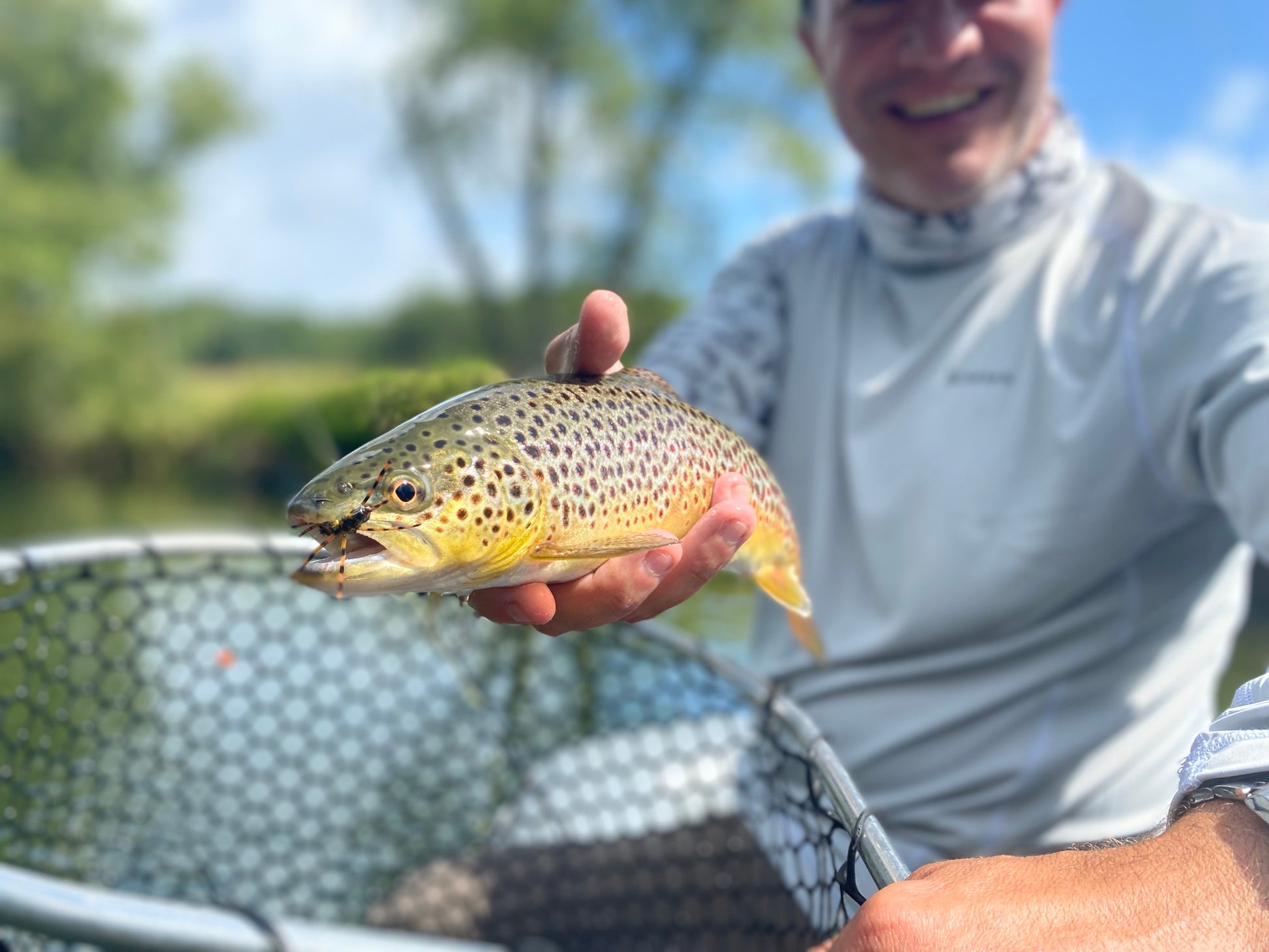 Brown Trout caught with a Pat's Rubber Leg Stonefly