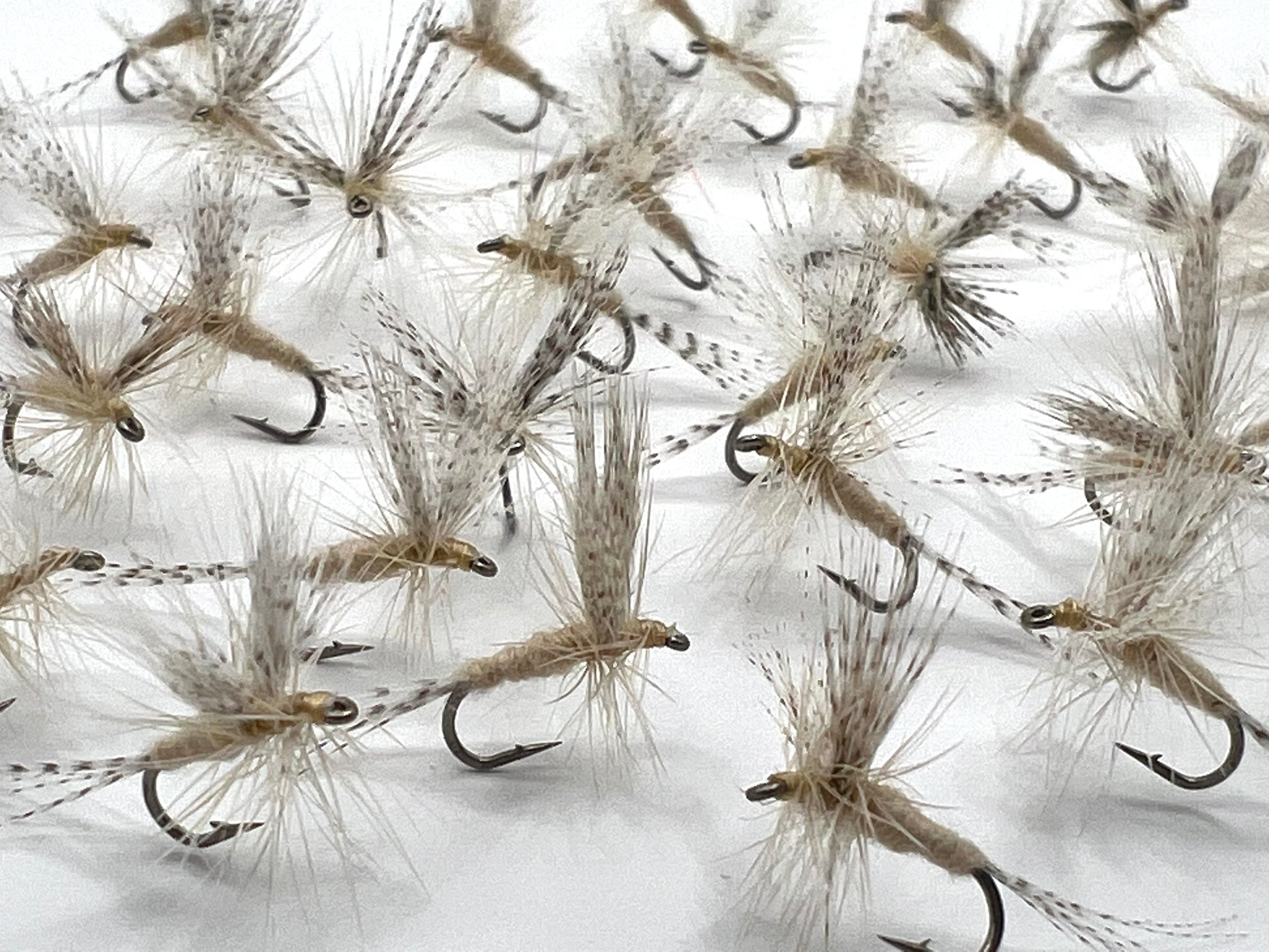Size 16 Light Cahill Dry Flies – theflydoctor