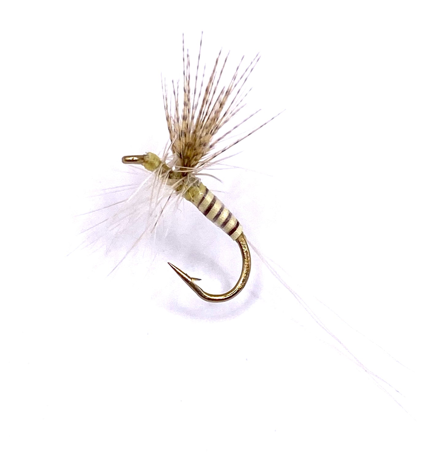 Quill Light Cahill Dry Fly
