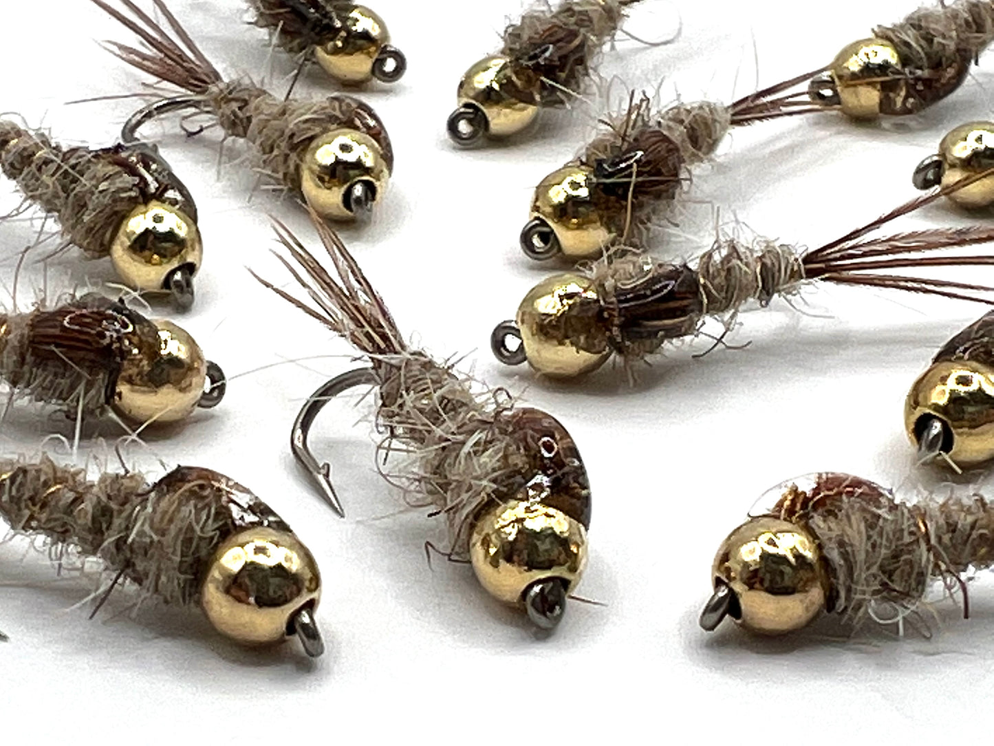 Gold Ribbed Hares Earss