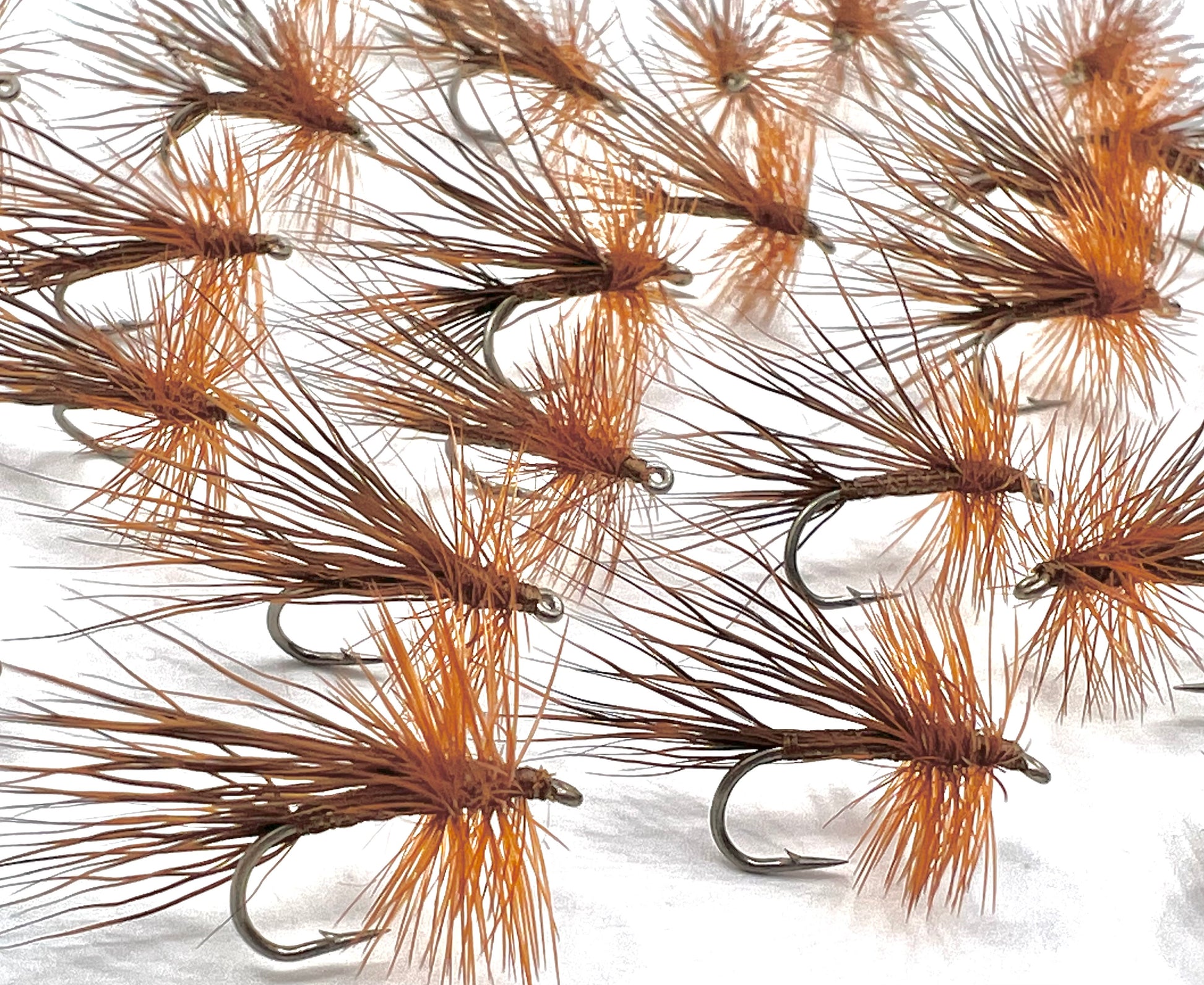 Size 14 Brown North Branch Caddis Dry Flies – theflydoctor